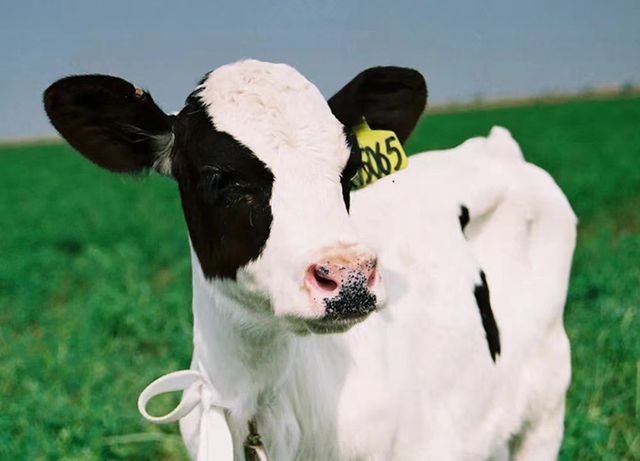 31ddbb78-96a1-441f-a829-7444d76db85f1673218098411