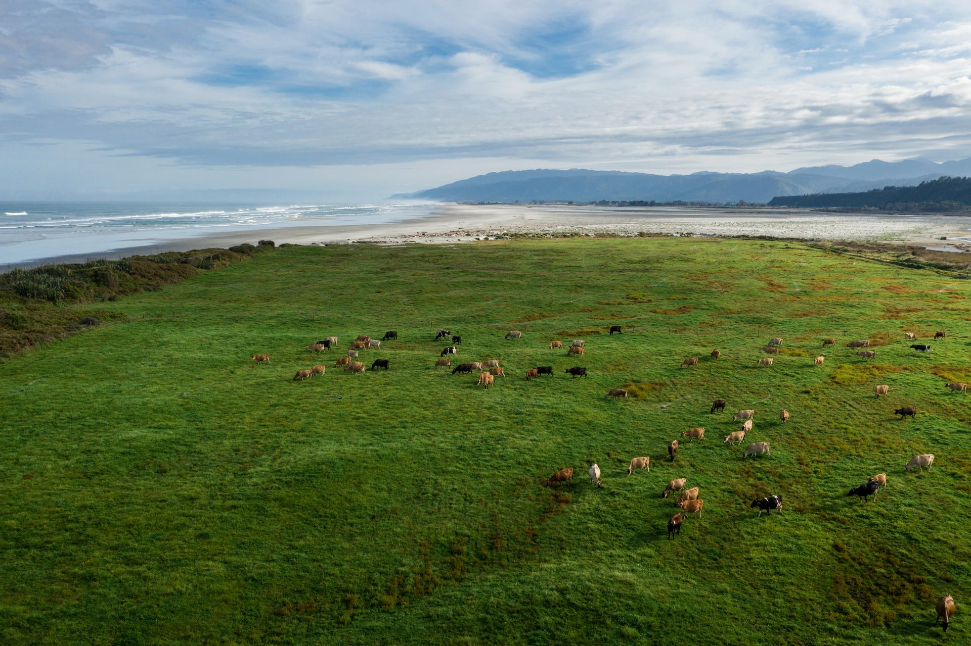 15e1ef7d-0c29-43f5-bdef-3fd099f5587c1673348562701