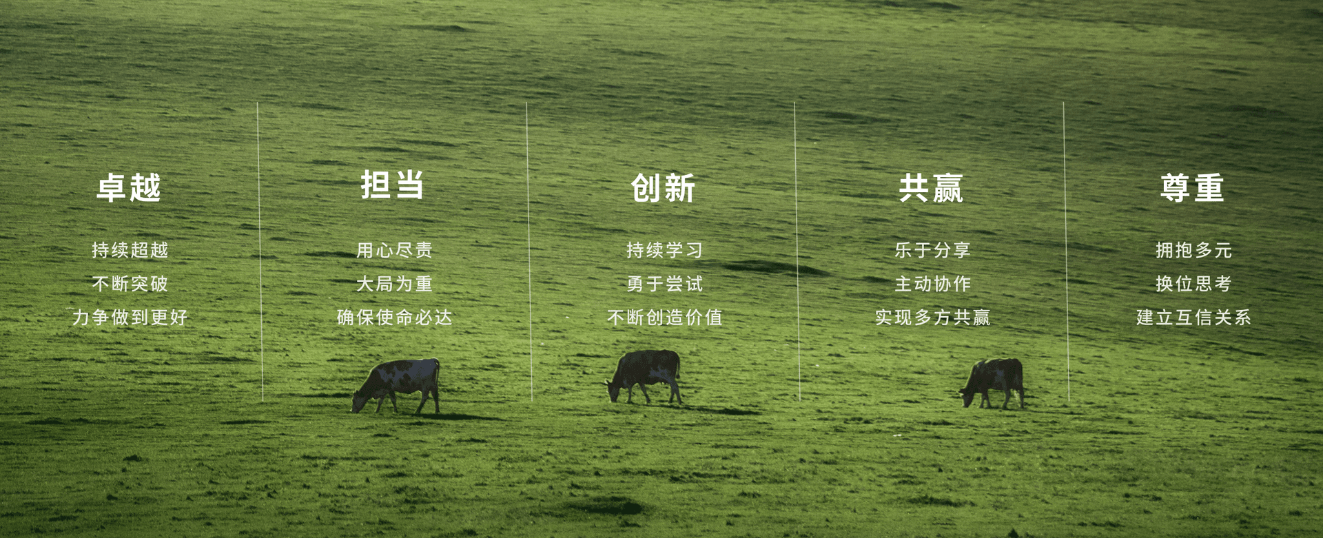 7e8178c4-36c1-4c7e-8363-8003476c0af21673868060259