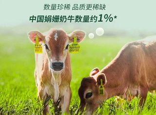 61bb09e6-01d4-469a-be02-625dbfbe730c1680788786118