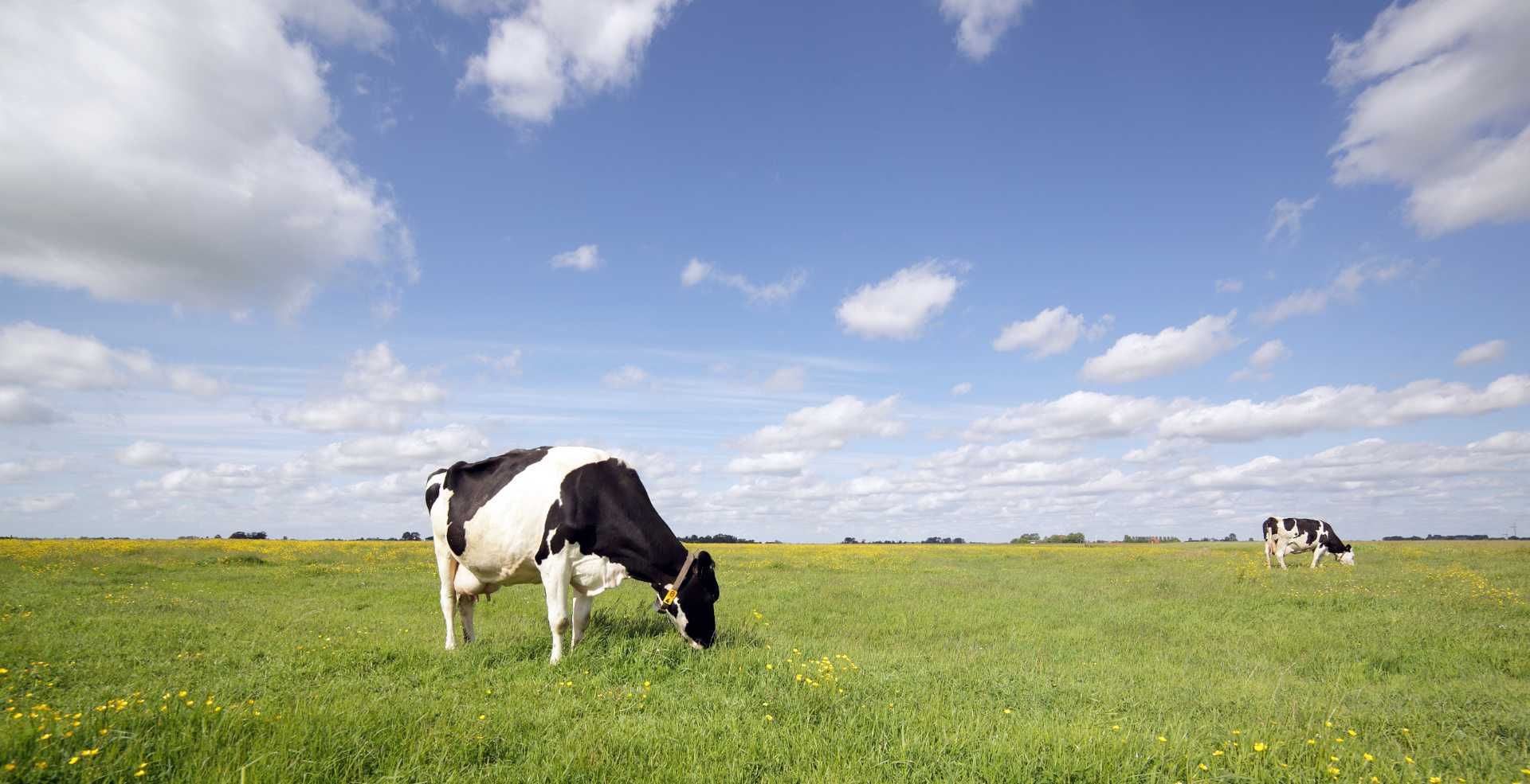 thumbnail.f160463d-9ecd-4d86-88a3-2cb94b61bd4d1685496884122