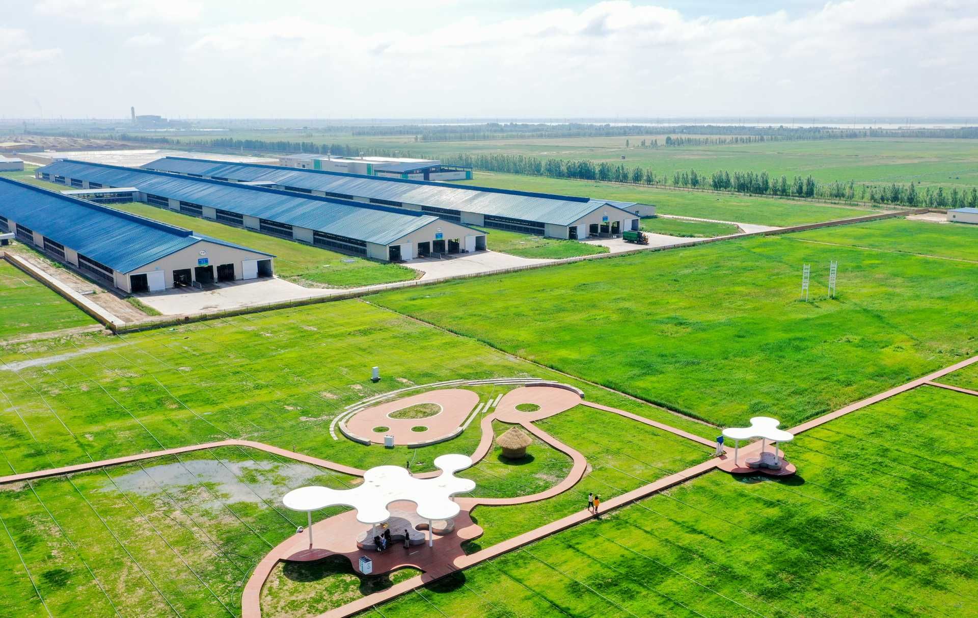 thumbnail.34e2fc7e-3255-4e36-aa5b-47dcf4cceecc1691634166181