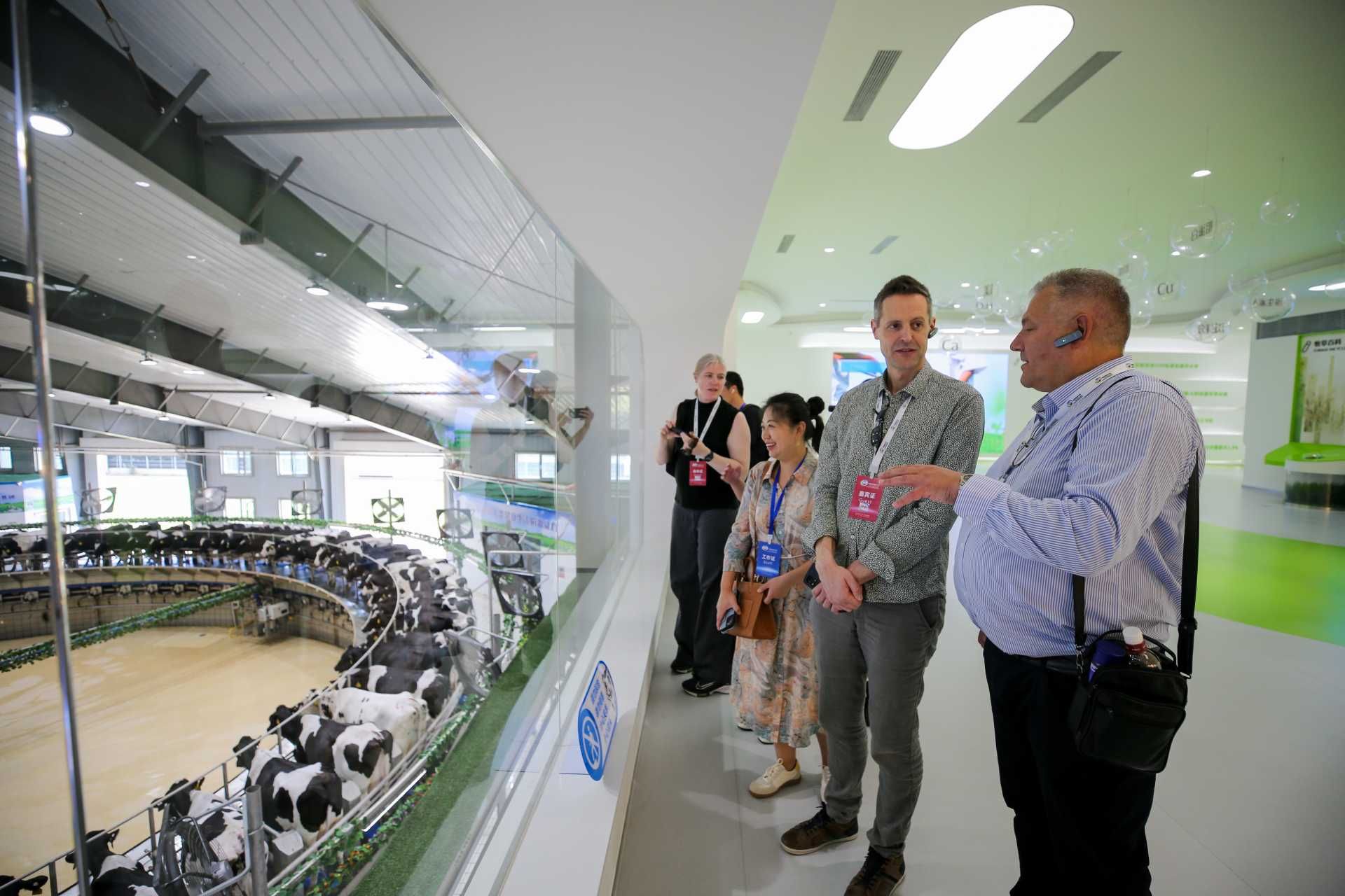 thumbnail.74344200-1aec-4905-acb6-21faf1762a451691634068673