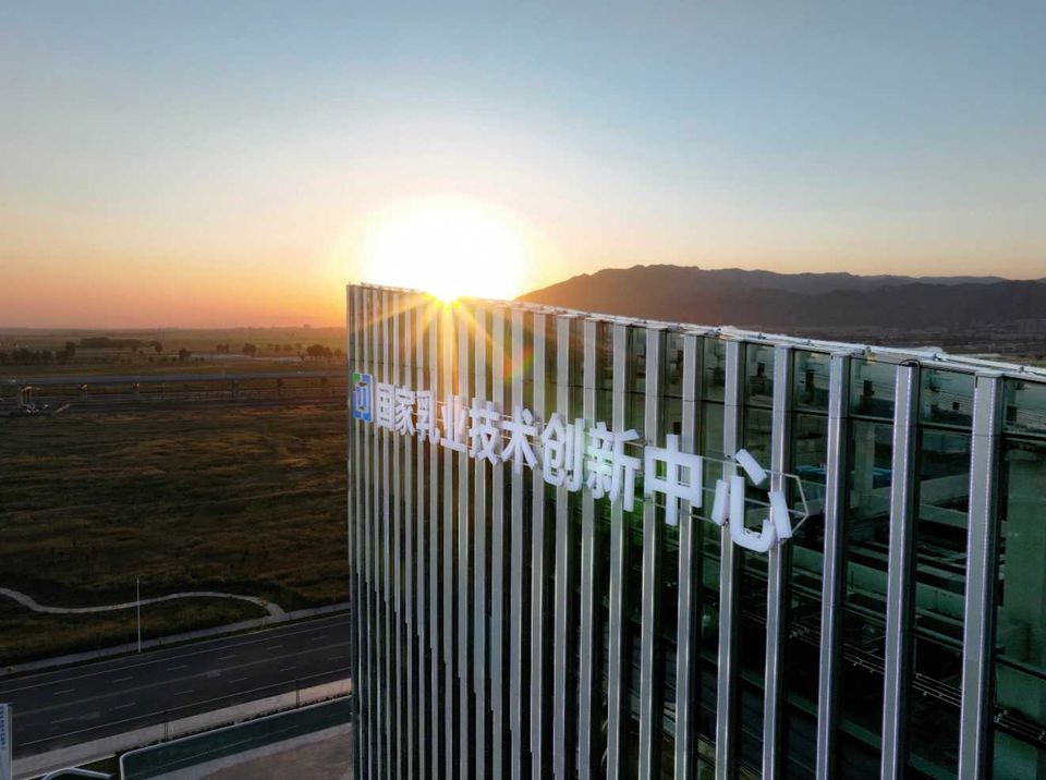 thumbnail.893132b5-078e-4c06-9bc0-178a63eae49d1701848012095