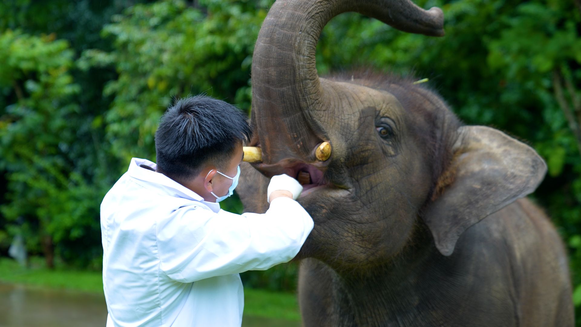 a3fc77f4-1962-479b-8ee6-f368d4ce7e511723432998871